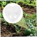 OSALADI Plant Plastic Fruit Clear Fruit Yard Fruit Fruit Forming Heart-Shaped Pumpkin - Buy Online on SooperMarket.com