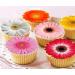 Pre-Cut Beautiful Gerbera Daisy A Edible Wafer Paper Flowers Cupcake Toppers Cake Decorations Birthday Party (12) - Buy Online on SooperMarket.com