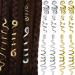 12 Pieces Braid Hair Accessories Celtic Hair Jewelry Alloy Dreadlock Accessories Loc Jewelry for Hair Spiral Braid Jewelry Coil Jewel Hair Cuffs Snake Hair Clips for Women and Girls (Gold, Silver)