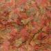 S ll 16133 Organix Flakes - Premium Aquarium Food for Ornamental Fish | 130ml Flake Food | International Shipping Available - Buy Online on SooperMarket.com