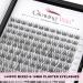Glowing Win Individual Eyelash Extensions Set - DIY Cluster Lashes Kit with 144 PCS Lash Bond & Seal Tweezers | 8-16mm Natural False Eyelashes for Stunning Looks - Buy Online on SooperMarket.com