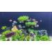 Begondis 25-Piece Plastic Aquarium Plant Tree Set | Artificial Aquatic Plants & Flowers for Fish Tank Decorations - Buy Online on SooperMarket.com