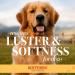 Burt's Bees for Pets Palm Detangling Brush - All Natural Bamboo Dog Brush with Adjustable Strap | Best Dog Grooming Tool - Buy Online on SooperMarket.com
