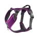 DOG Copenhagen Dog Harness V2 Comfort Walk (Pro) Purple Passion Size XL Purple Passion | Purple (Version 2020) XL