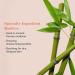 Erborian Bamboo Cr me Frappe Moisturizer Hydrating & Soothing Cream for Dehydrated Skin | Korean Skincare | 1.7 Oz - Buy Online on SooperMarket.com