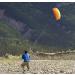 Prism Synapse 140 Parafoil Kite - Ideal Entry Level Dual-line Kite for Kids and Adults - Cilantro - Buy Online on SooperMarket.com