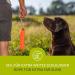 HP & G Home Orange Apportier Dummy for Dog Training - 24 cm Durable & Robust Ideal for Pets & Garden - Buy Online on SooperMarket.com