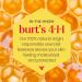 Burt's Bees Watermelon Lip Shimmer 2.6g - 100% Natural - Buy Online on SooperMarket.com