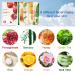 Hydrating Face Sheet Mask 8 Pack with Green Tea, Aloe Vera, Pomegranate - Anti Aging and Moisturizing Skin Care Gift Set - Buy Online on SooperMarket.com