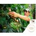CofiCafe 6 Lbs Specialty Colombian Unroasted Green Coffee - Tatama Valle del Cauca (SCA 87) - Buy Online on SooperMarket.com