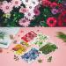 Dried Pressed Flowers 170+ Pcs - Bulk Natural Floral Fillers for Resin Crafts & Jewelry - 5 Color Set - Buy Online on SooperMarket.com