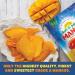 Dried Mango Slices - Soft, Juicy, Low Sugar, Gluten-Free, Natural Source of Vitamin C & Fiber (8 oz. x 6 Pack) - Buy Online on SooperMarket.com