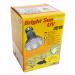Lucky Repile Bright Sun UV Desert - 35 W Metal Dampfall for E27 versions - Terrarium lamp with daylight spectrum - heat lamp with UVA & UVB radiation - UV lamp for desert reptiles 1 piece 35 watt (front switch required)