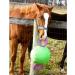 Signature Horsemen's Pride 14-Inch Horse Jolly Tug Blue one size - Buy Online on SooperMarket.com