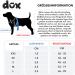 Ddoxx Adjustable Nylon Dog Harness - Step-In Outbreak-Proof for Small Medium & Large Dogs | Perfect Breast Harness for Puppies & Cats | Yellow XS (1.0 x 32-44 cm) - International Shipping Available - Buy Online on SooperMarket.com