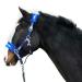 Halter for horses fur Halter Halfter suspects Halter Blue in the sizes Xfull Halter Pony Cob Warmblood (Warmblood (Full) Blue) Warmblood (Full) Blue