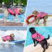 Alagirls Small Dog Rescue Vest - Adjustable Ripstop Safety Preserver with High Buoyancy for Dogs - Buy Online on SooperMarket.com