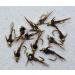 Bead Head Flash Back Pheasant Tail Mayfly Nymph Flies on Mustad Signature Fly Hooks - 12 Pack, Hook #12 - Buy Online on SooperMarket.com