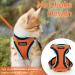 Rabbitgoo Cat Dishes & Adjustable Breakage-Proof Cat Harness Set - Orange M (1 Pack) for International Shipping - Buy Online on SooperMarket.com