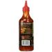Exotic Sweet and Sour Sauce - 455 ml PET Bottle - Authentic International Flavor - 1 Pack - Buy Online on SooperMarket.com