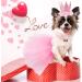 GAGILAND Dog Birthday Outfit - Pink Puppy Tutu Set with Adorable Hat and Necklace for Small Girl Dogs - Buy Online on SooperMarket.com
