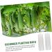 Milisten Garden Fruit Mould 2pcs Vegetable Shaping Mold Cucumbers Cucumber Shaping Mold Vegetable Shaper Mold Planting Supplies - Buy Online on SooperMarket.com