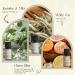 ARVIDSSON Hotel Fragrance Oils Premium Essential Oils Gift Set for Soap & Candle Making Luxury Hotel Scented Oil for Home Jasmine & Mint White Tea Luxury Night Citrus Bliss My Way Hotel Lobby - Buy Online on SooperMarket.com