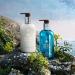 Molton Brown Coastal Cypress and Sea Fennel Hand Wash 300ml - New Formula - Buy Online on SooperMarket.com