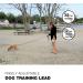 Buy Loutep 3m Dog Training Leash - Durable Nylon Padded Handle & Strong Rotary Hook - Perfect for International Shipping - Buy Online on SooperMarket.com