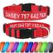 Tagme personalized dog collar for large dog with embroidered reflective nylon dog collar with pet name & telephone number red XL XL (1 Pack) red