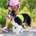 Adjustable No-Pull Muzzle Halter for Dogs - Padded Design for Comfort (Small Pink) | Weesiber - Buy Online on SooperMarket.com
