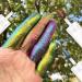 Multichrome Duochrome Liquid Eyeshadow - Chameleon Sparkle & Waterproof Metallic Glitter - High Pigmented & Longlasting Formula for Colorful & Bright Eye Looks - Buy Online on SooperMarket.com