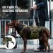 OneTigris Dog Lift Harness for Large Dogs - Dog Support Sling with Handles | Invictus Multifunctional Mobility Assistance Vest - Dog Hip Support Brace | Olive (L) - Buy Online on SooperMarket.com