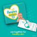 Pampers Swaddlers Newborn Diapers Size 0 - 140 Count - Buy Online on SooperMarket.com