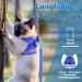 Soft Cat Vest with Leash & Supet Cat Dishes for Kittens & Small Dogs - Blue Size S (26-32 cm) - Ideal for Chihuahua & Pets - Buy Online on SooperMarket.com