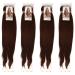 4pack NEW 60 INCH XPRESSION LAGOS BRAID PRE-PULLED PRE-STRECHED Hair Extension 60 2 In A Pack (Colour 33 Brown/Auburn) Heat Resistant Tangle Free Dark Auburn Brown 1