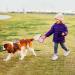 Retractable Dog Lead 5M Long Extendable with Non-Slip Handle & Adjustable Dog Lead One-Hand Brake Pause Lock 360 Universal Anti-winding with Bonus Training Clicker for Small Medium Dogs (Pink) - Buy Online on SooperMarket.com