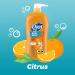 Dial Kids Body Wash Citrus 32 fl oz - Hypoallergenic Formula - Buy Online on SooperMarket.com