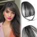 Real Hair Clip-In Fringe 100% Real Hair Clip in Bangs with Temples Remy Real Hair Fringe Bangs One Piece Human Hair Clip in Pony Fringe Extensions Natural Bangs for Women (Brown Black)
