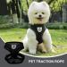 Buy Nizirioo Cat Harness & 2 Safe Cat Dishes - Stylish Black Set for Small Medium Pets - Buy Online on SooperMarket.com