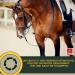 Premium Vitamin Paste for Horses | Amino Acids & Energy Booster | Muscle Regeneration & Performance | 3x30ml - Buy Online on SooperMarket.com