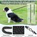 Buy Aystkniet Bungee Dog Leash - 3m to 30m Shock-Absorbing Leash for Medium & Large Dogs Padded Handle & Reflective Threads International Shipping Available - Buy Online on SooperMarket.com