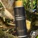 WOULD Men's 2-in-1 Shampoo and Conditioner - 16 Oz Dual Action Smooth Brandy & Madagascar Vanilla Scent - International Shipping Available - Buy Online on SooperMarket.com