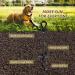 Heavy Duty Dog Tie Out Stake for Outdoor Use Strong Ground Anchor for Large Dogs Up to 150 lbs Perfect for Outdoor Dog Run Yard Camping Gear Beach Accessories Black - Buy Online on SooperMarket.com