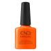 CND Shellac Shellac Popsicle Picnic