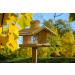 Dobar 21277E Large Bird Feeder Solid Wood Bird House with Shingle Roof Premium Bird Feeding Station for Container Montage 38x38x30 cm - Buy Online on SooperMarket.com