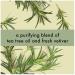 Love Beauty & Planet Daily Detox Hand Soap - Tea Tree Oil & Vetiver 13.5 oz - Buy Online on SooperMarket.com