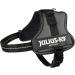 Buy K9 Powerharness XS/Mini-Mini in Anthracite | Premium Dog Harness for Comfortable International Shipping - Buy Online on SooperMarket.com
