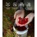 LOOV Organic Wild Cranberry Juice 500ml - Pure Fresh Cranberries, Polyphenols, No Added Sugar or Water - Wild-Crafted - Buy Online on SooperMarket.com
