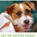 FIRSTPAW XXL Nursing Towels for Dogs - 100 Biodegradable Hypoallergenic Cleaning Cloths with Aloe Vera - Perfect for Eyes Ears & Paws - Buy Online on SooperMarket.com